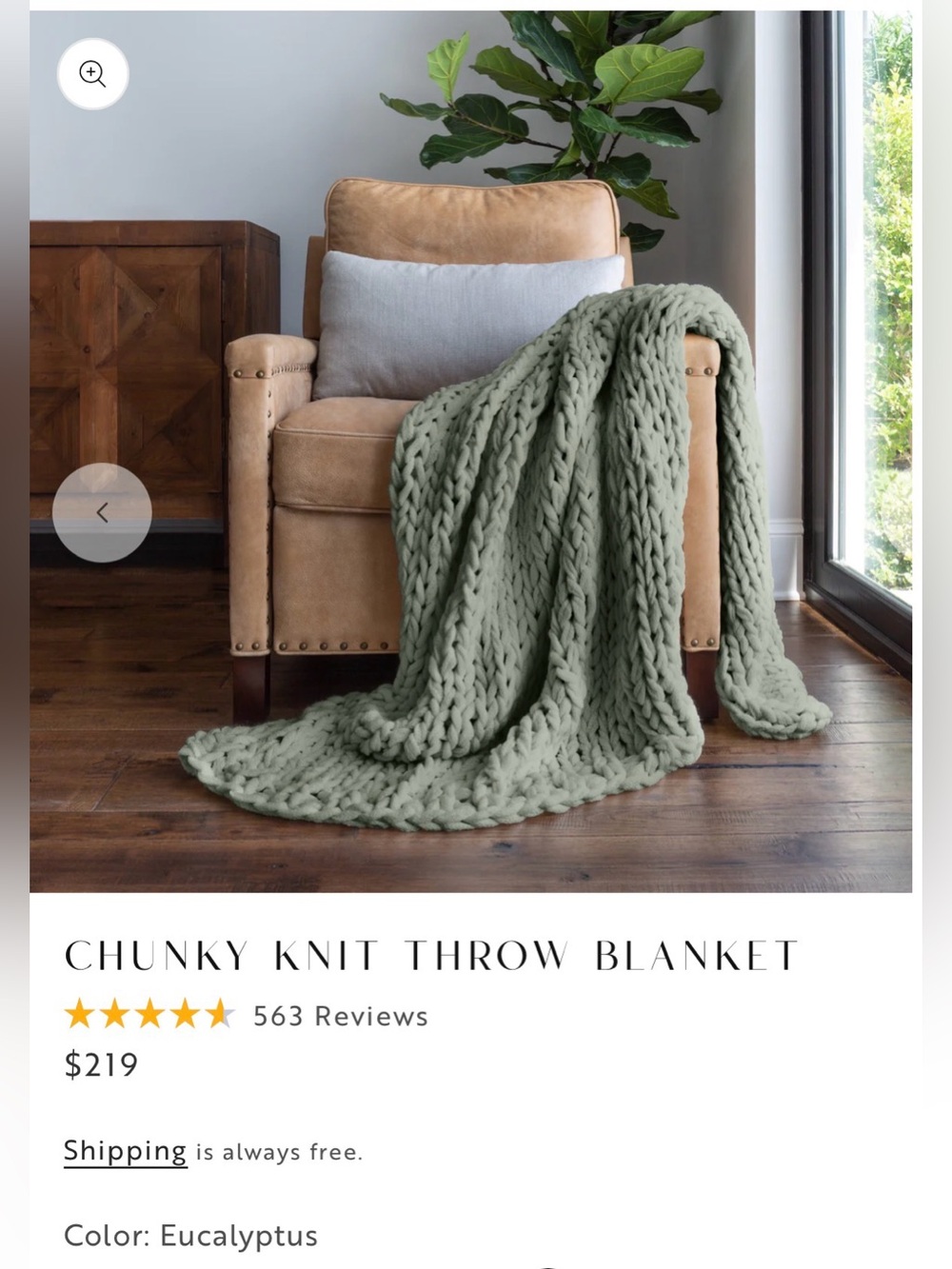 Linens & Hutch Eucalyptus Chunky Knit Throw Blanket